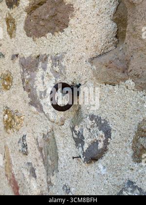 Close-up of a rustic stone wall featuring a rusty iron ring and weathered textures Stock Photo