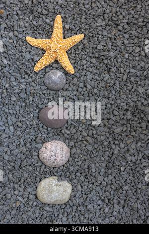 Objects from nature, starfish, four stones, pebbles Stock Photo
