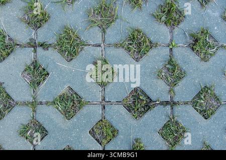 Grass grows through square holes in pavement, top view Stock Photo