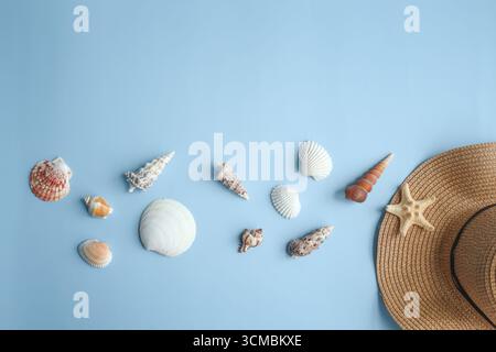 Beautiful straw hat and seashells on color background, top view. Stock Photo