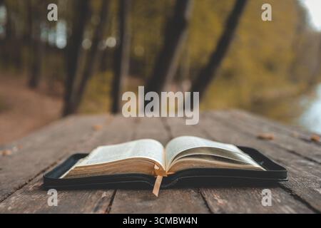 Open Bible on a wooden board near the river. Stock Photo
