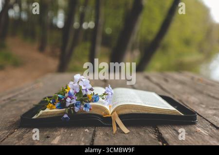 Open Bible on a wooden board near the river. Stock Photo
