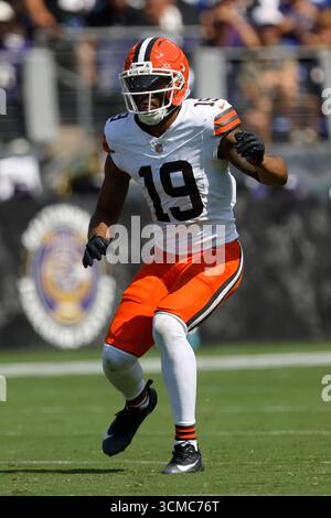 cleveland-browns-wide-receiver-cedric-tillman-19-catches-a-pass