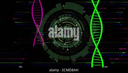 Displaying circular data interface on dark field, with two-color DNA helices and lines and dots Stock Photo