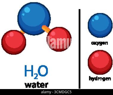 Vector illustration of H2O molecule with labeled oxygen and hydrogen atoms, flat style Stock Vector