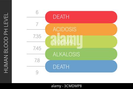 Ph blood scale. Acid and alkaline indicator. Medical research in the laboratory. Vector illustration in flat style Stock Vector