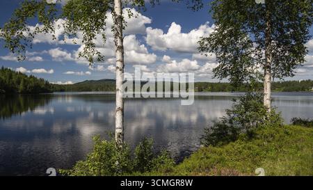 View over a lake through birch trunks, sunny day, blue sky with clouds, near Eidsvoll, Norway Stock Photo