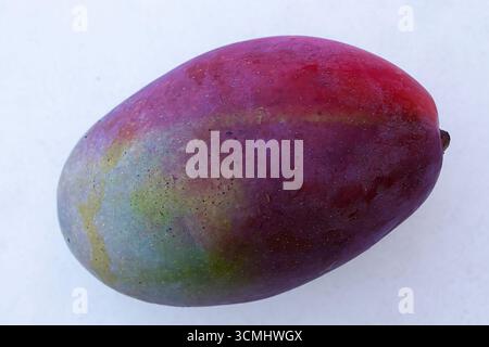 Single ripe mango fruit with colorful skin close-up on white background. Perfect for tropical food, exotic fruit, healthy diet, organic nutrition and Stock Photo