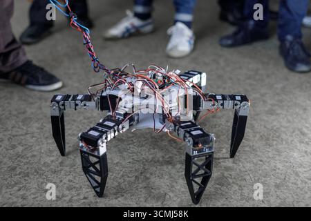 Legged robot with visible servos and wiring demonstrated by students in a STEM workshop, ideal for education and innovation themes Stock Photo