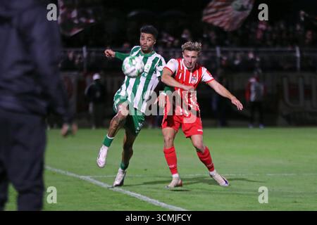 Rot Wolf fc rot weiss erfurt gegen carl zeiss jena erfurt, 290406, fussball ...