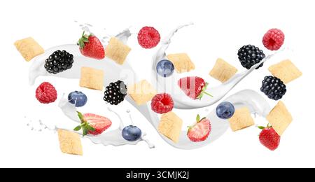 Splashing milk with sweet corn pads and fresh berries in air against white background. Healthy breakfast Stock Photo