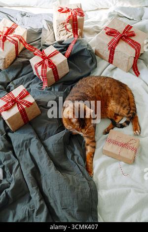 Wrapped Christmas Gift Boxes Lying under Decorated Fir Tree Stock Photo ...