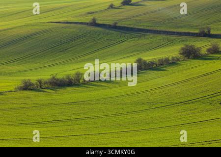 Scenic view of rolling hills and green fields creating a wavy pattern, a peaceful landscape Stock Photo