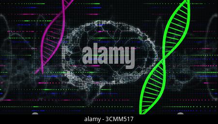 Displaying wireframe brain on dark grid, magenta-green DNA helices, streaming data, smoky textures Stock Photo