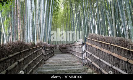Uphill path in the fabulous bamboo forest in Kyoto, Japan Stock Photo