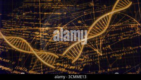 Floating golden double helix strands navigating in online grid, with code, network nodes and globe Stock Photo