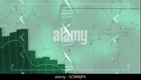 Displaying three DNA double-helix models in virtual data space with bar chart and network overlay Stock Photo