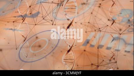 Displaying DNA strands on digital screen with nodes lines circular charts and data annotations Stock Photo