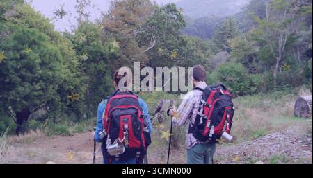 Standing two hikers traversing forest clearing, with red-and-black backpacks, poles, water bottle Stock Photo