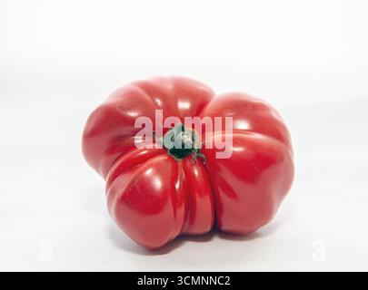 red beef tomato photographed in studio. White background. Stock Photo