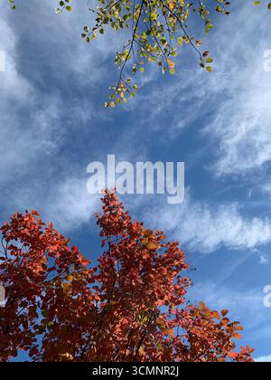 Fall vibes 2 Stock Photo