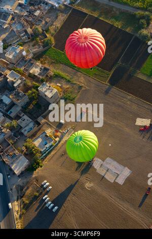 Aerial view of palm trees casting shadows over green fields. Paths ...