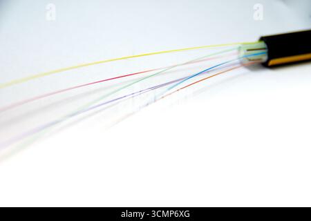 Fiber Optic Strands Fan Out on a White Background, Stock Photo