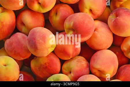 A bunch of peaches are piled on top of each other. The peaches are ripe and have a bright orange color Stock Photo