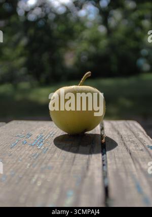 Fresh yellow apple placed on rustic wooden table in sunlight. Stock Photo
