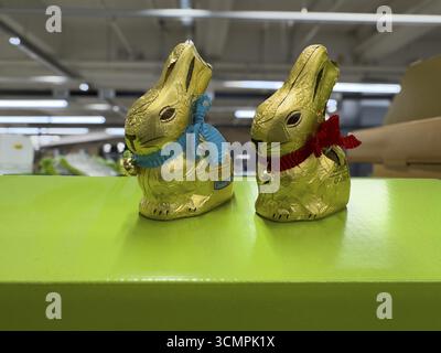 Two chocolate Easter bunnies in golden staniol paper, Germany Stock Photo