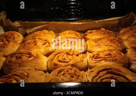 Cinnamon rolls baking in oven tray, homemade pastry process, rustic kitchen scene. Stock Photo