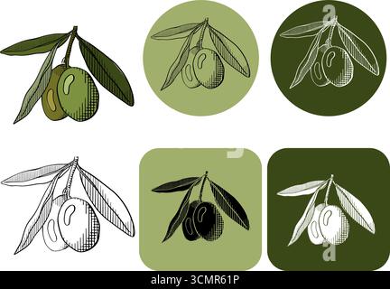 green vector olive branch logo. graphic line ink colored illustration. Mythological icon. Healthy products label. Organic cosmetics. Eco food Natural Stock Vector