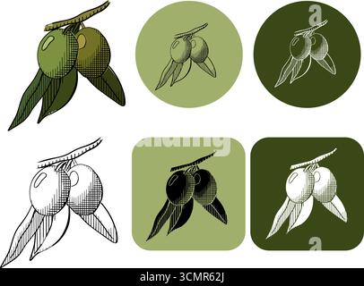 Olive branch with green leaves logotype. Vector graphic line ink colored illustration. Green raw organic olive natural collection. Tree elegant branch Stock Vector