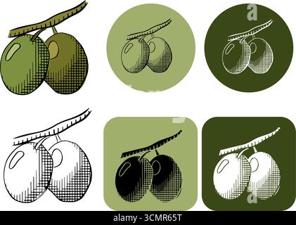 Green olives berry branch logotype. Vector graphic line ink colored illustration. For organic product packaging, culinary branding, herbal labels, and Stock Vector