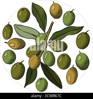 Olive Circle Frame, Olive berry branch with green leaves circle round composition logotype. Vector graphic line ink colored illustration. For Wedding Stock Vector