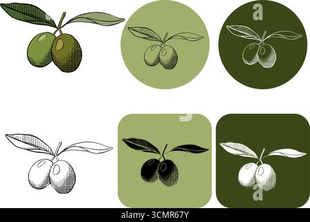 olive branches with leaves, logotype. Vector graphic line ink colored illustration. Line drawing, silhouette of olives, flat design. A simple element Stock Vector