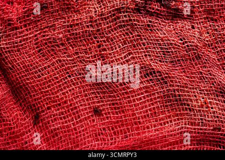 Dyed medical gauze in red color after cherry juice was squeezed through it from fresh red cherries, close up Stock Photo