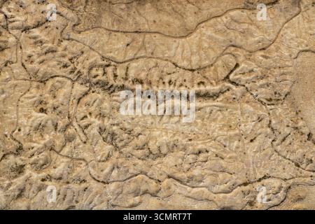 Detailed view of a weathered stone surface showing natural cracks, rough textures, and earthy beige tones, ideal for backgrounds, design projects, or Stock Photo