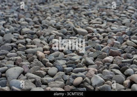 Close-up of natural pebbles and stones in various shapes and colors, creating a textured background for design, landscaping, or geological themes Stock Photo