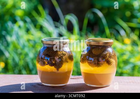 Two glass jars of fresh honey with pine cones on a wooden table, close up Stock Photo