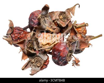 A bunch of dried rose hips on an isolated background Stock Photo