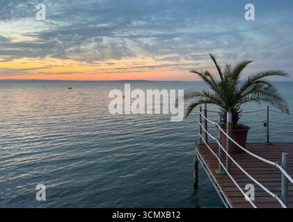 palm tree on the beach at sunset on Lake Balaton in Siófok Hungary Stock Photo
