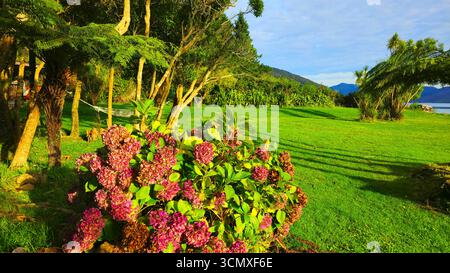 Furneaux Lodge, Marlborough Sound, South Island, New Zealand Stock Photo