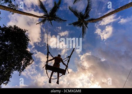 Low angle view of a cheerful boy having fun on a jungle swing between palm trees against clouds at sunset, Ubud, Bali, Indonesia Stock Photo