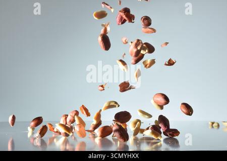 Peeled and unpeeled peanuts falling on a gray reflective base and a gray isolated background. Front view. Stock Photo