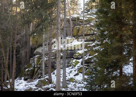 Snow-covered rocks in a wooded area with tall trees, Kamptal Waldviertel Lower Austria Austria Stock Photo