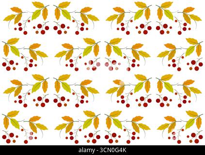 Autumn seamless background of leaves. Repeating floral ornament. Holiday pattern of bright leaves and berries on white background. Decor for Thanksgiv Stock Vector