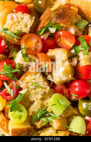 Homemade Classic Italian Panzanella Salad with Basil Tomato and Olive Oil Stock Photo