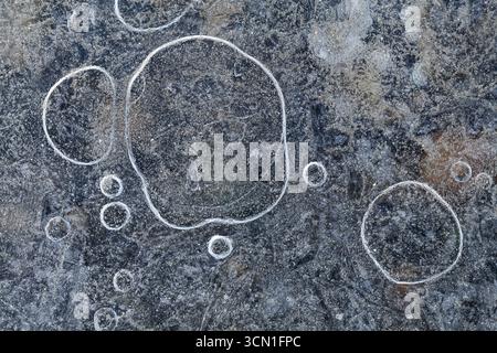 Macro photo of thin ice with frozen air bubbles in various sizes, shallow water reveals stones and textures beneath on Norwegian coast Stock Photo