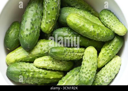 Fresh green cucumbers closeup. Organic vegetables pile in bowl. Healthy food background macro. Natural farm harvest concept. Stock Photo